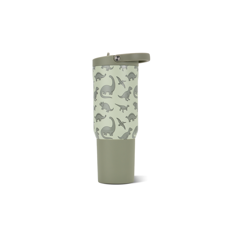 Sport 20oz - Dinosaur